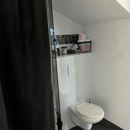 Apartment Chez Mathou, Location En Semaine Ou Le Week-end Rouen